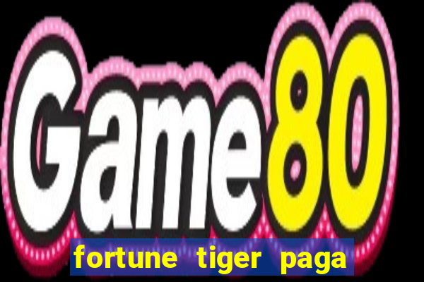 fortune tiger paga de madrugada